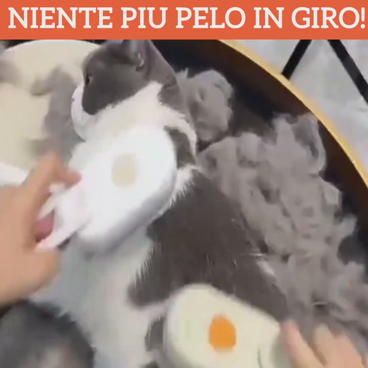 Spazzola a Vapore per Gatti e Cani Pethug