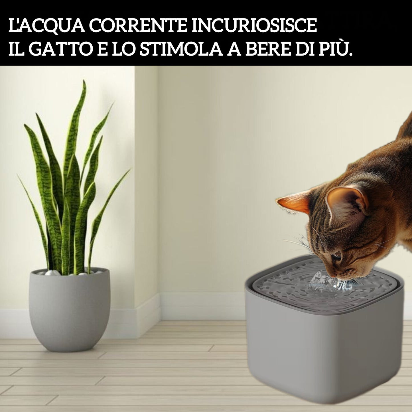 Fontanella automatica PetHug 3L